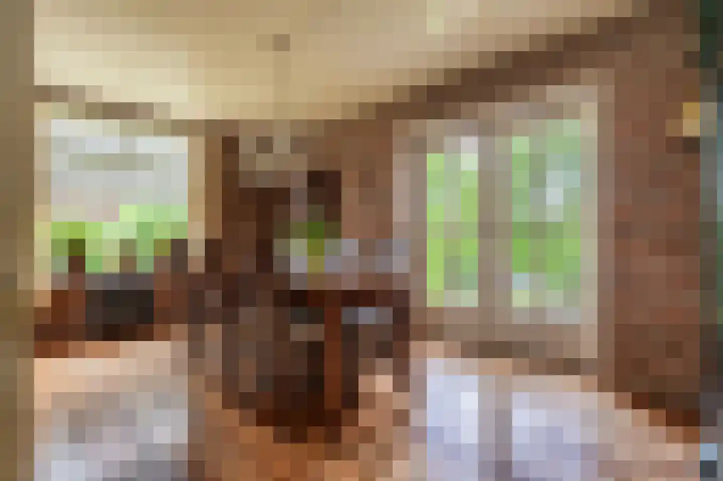 Oosterstraat 66 Blijham thumbnail 21