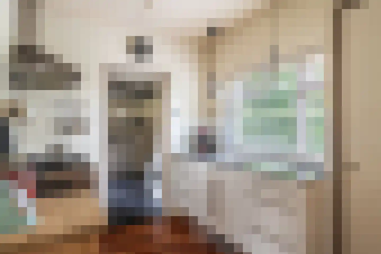 Oosterstraat 66 Blijham thumbnail 25
