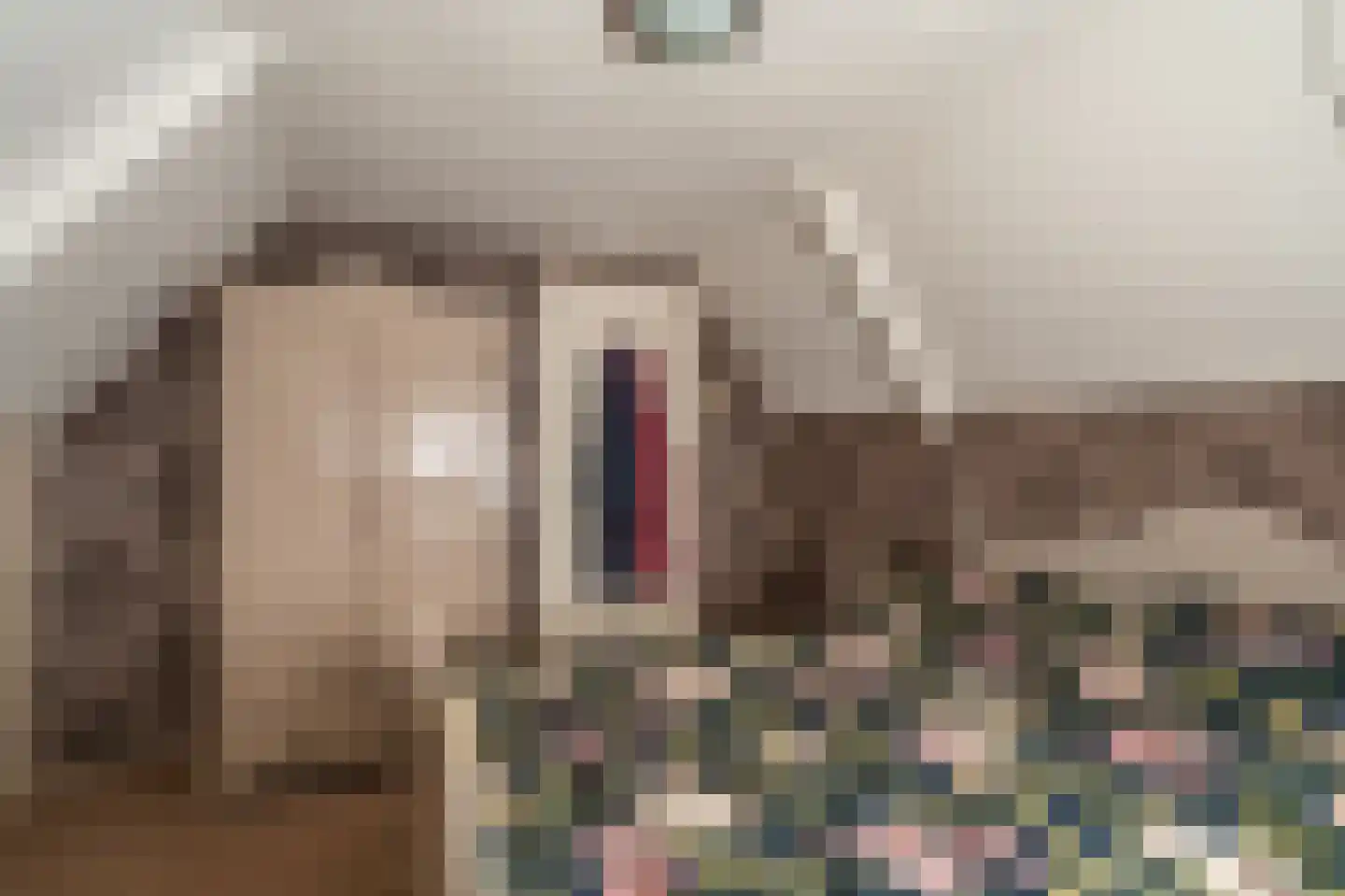 Oosterstraat 66 Blijham thumbnail 35