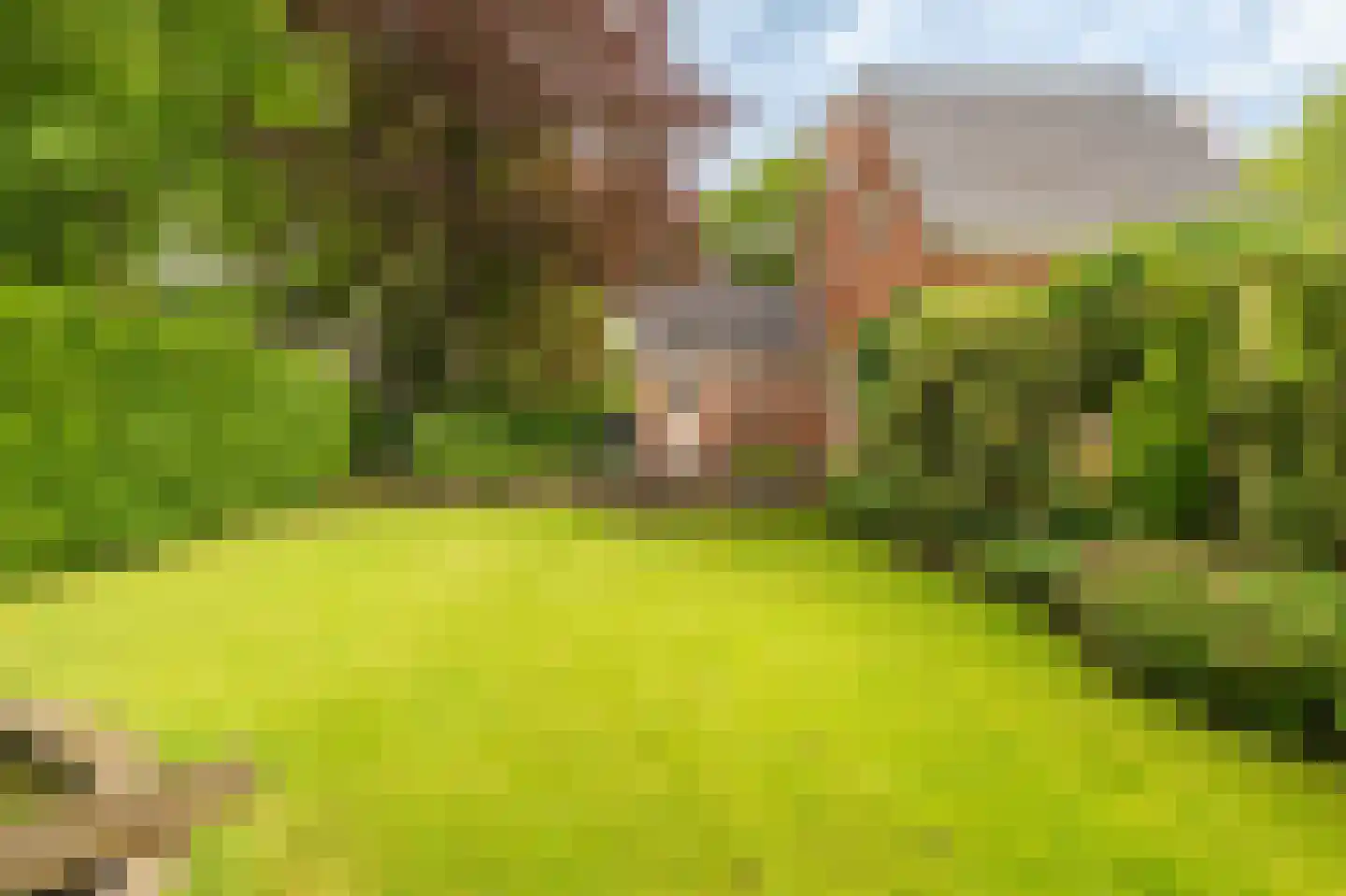Oosterstraat 66 Blijham thumbnail 43