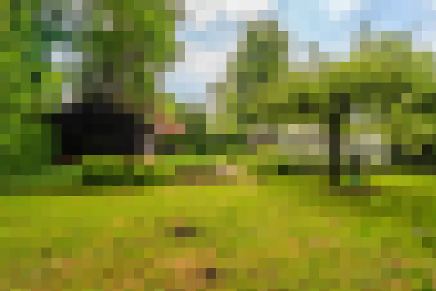 Oosterstraat 66 Blijham thumbnail 46
