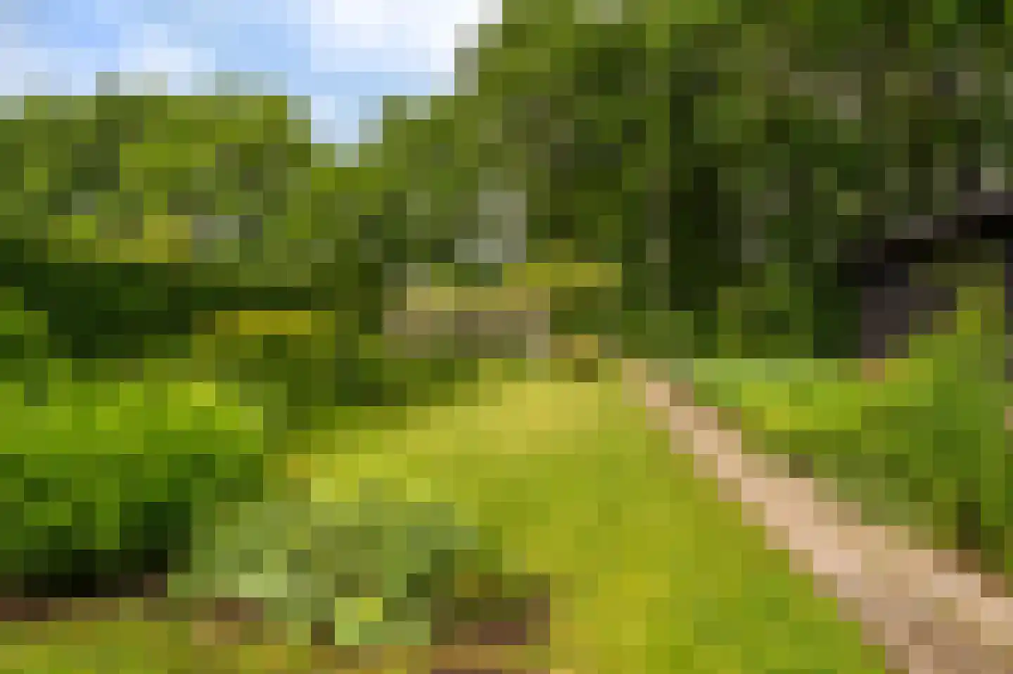 Oosterstraat 66 Blijham thumbnail 47