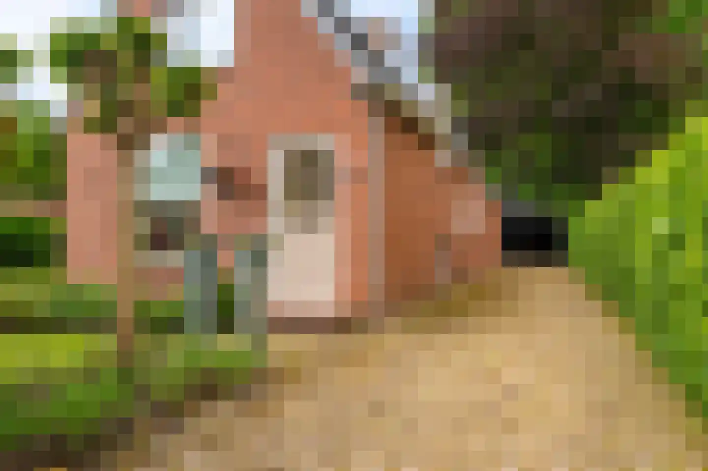 Oosterstraat 66 Blijham thumbnail 7