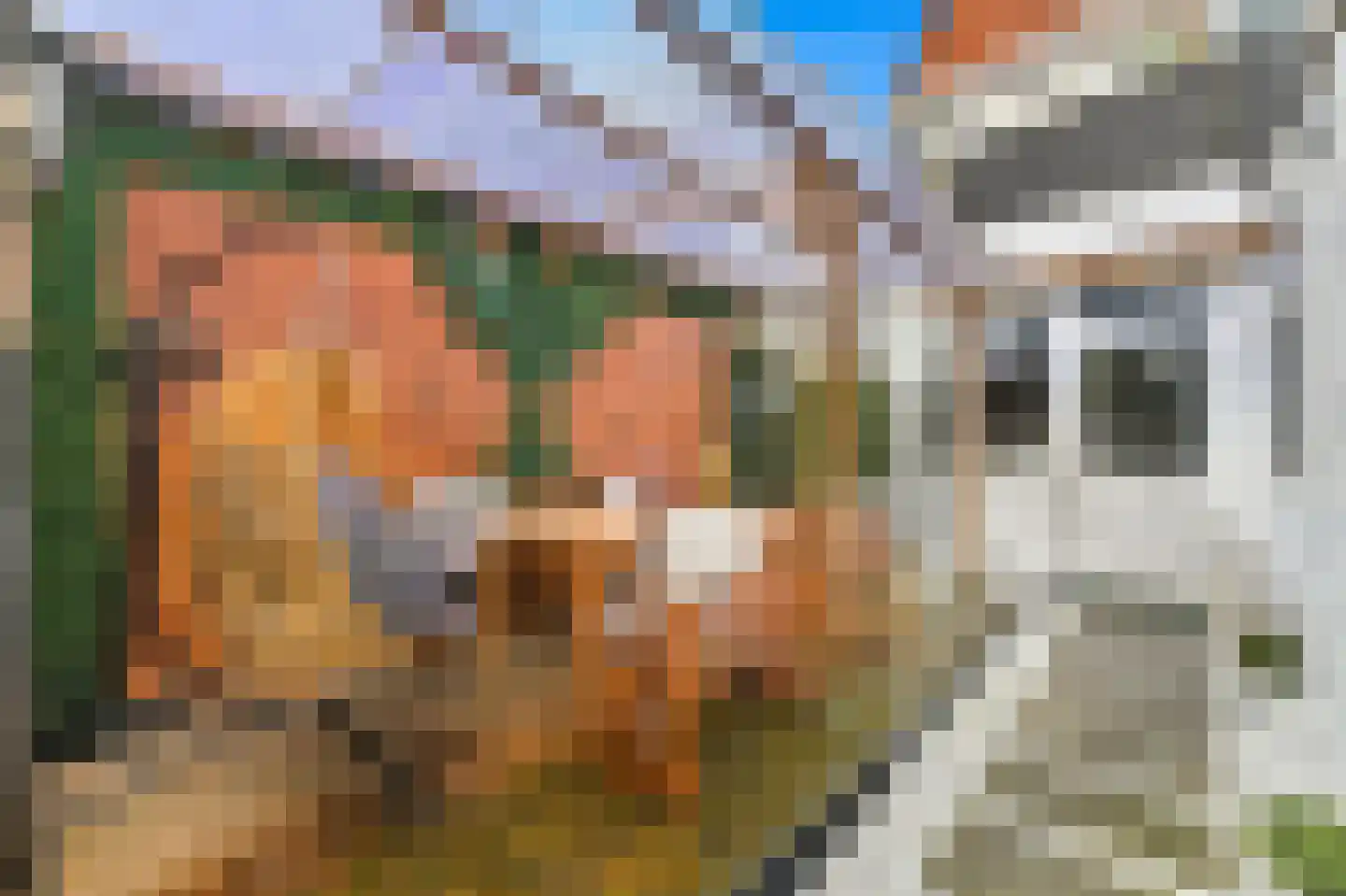 Oosterstraat 66 Vlaardingen thumbnail 11