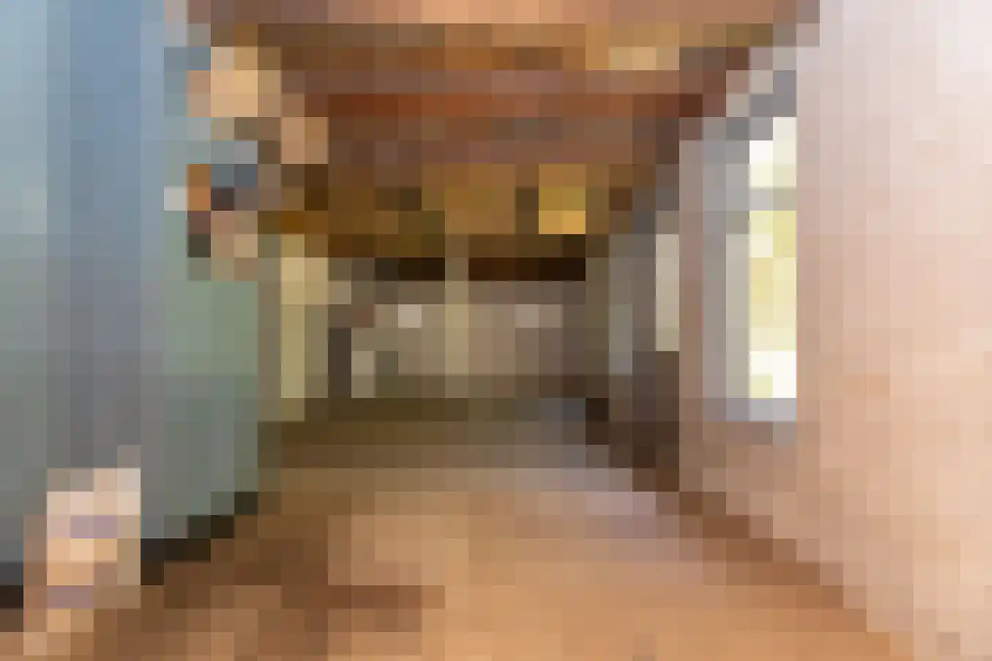 Oosterstraat 69 Benningbroek thumbnail 39