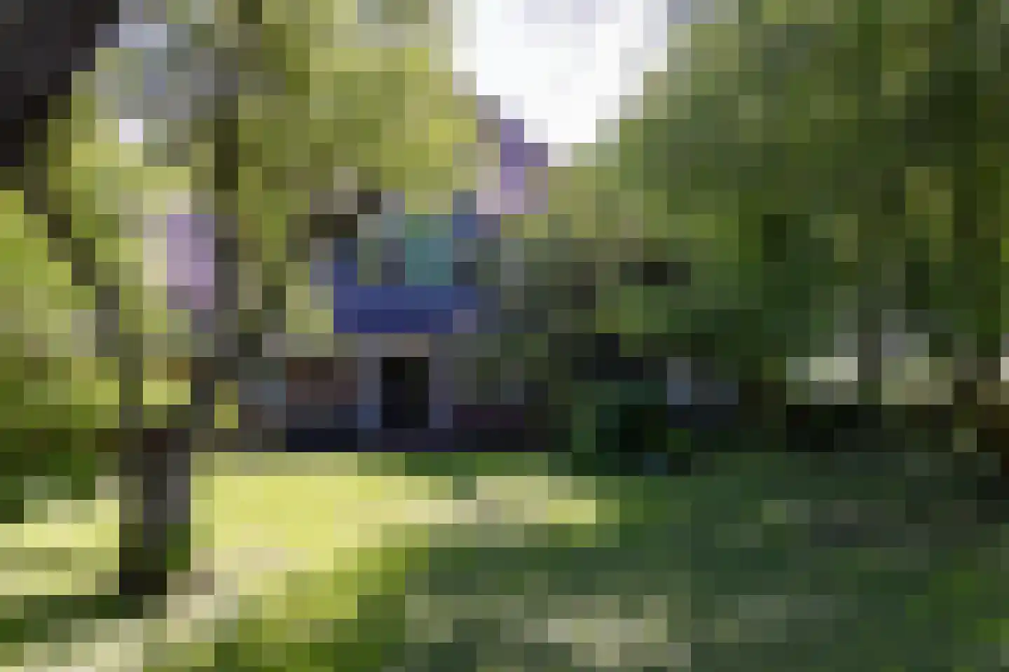 Oosterstraat 69 Benningbroek thumbnail 60