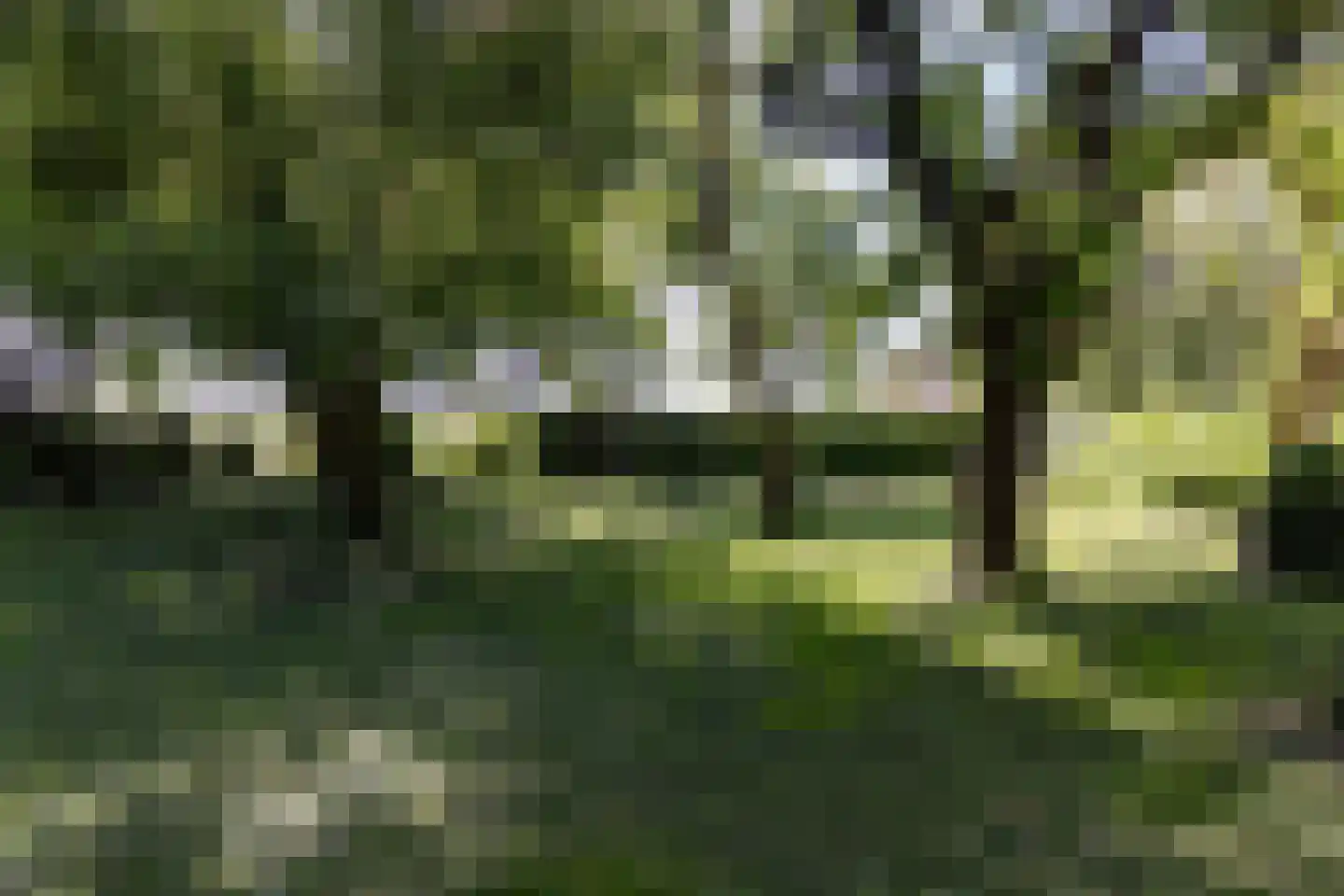 Oosterstraat 69 Benningbroek thumbnail 61
