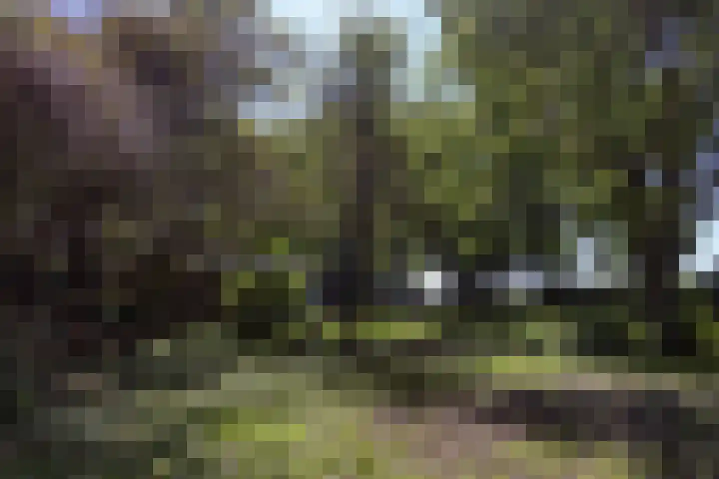 Oosterstraat 69 Benningbroek thumbnail 68