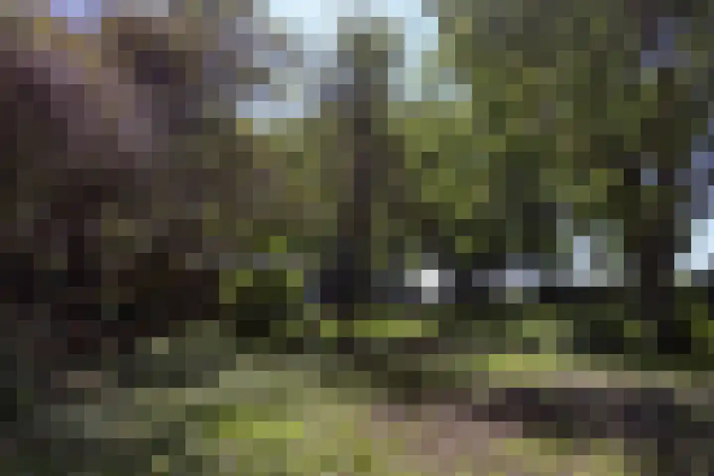 Oosterstraat 69 Benningbroek thumbnail 69