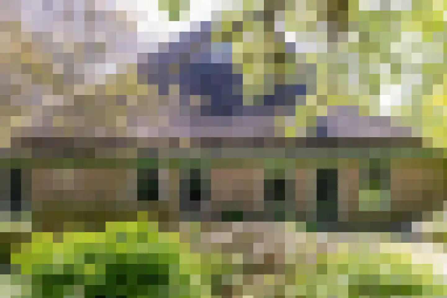 Oosterstraat 69 Benningbroek thumbnail 72