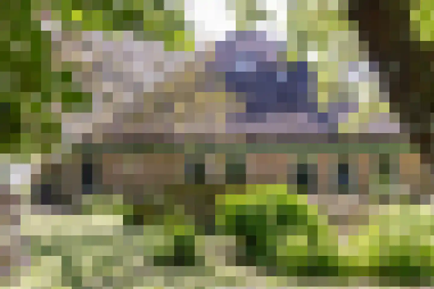 Oosterstraat 69 Benningbroek thumbnail 73