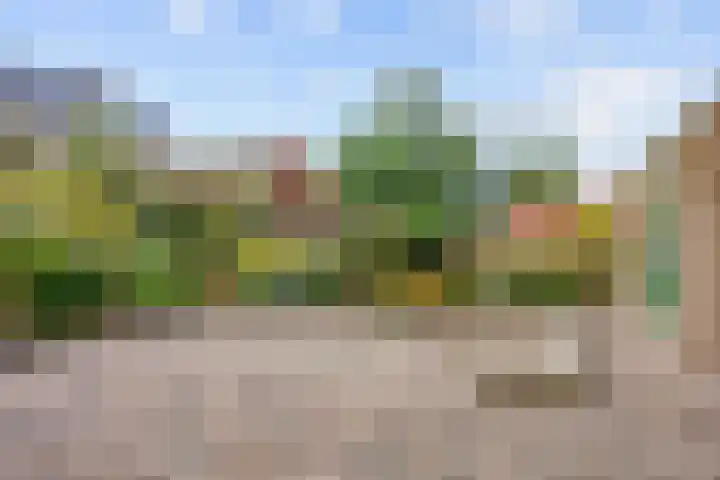 Oosterstraat 69 Warffum thumbnail 48