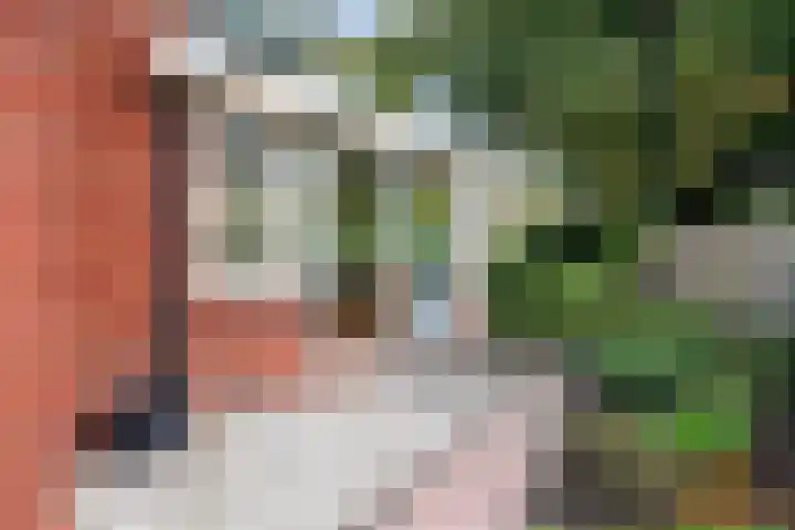 Oosterstraat 69 Warffum thumbnail 51