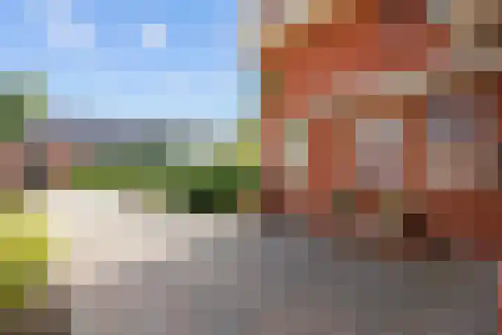 Oosterstraat 69 Warffum thumbnail 7