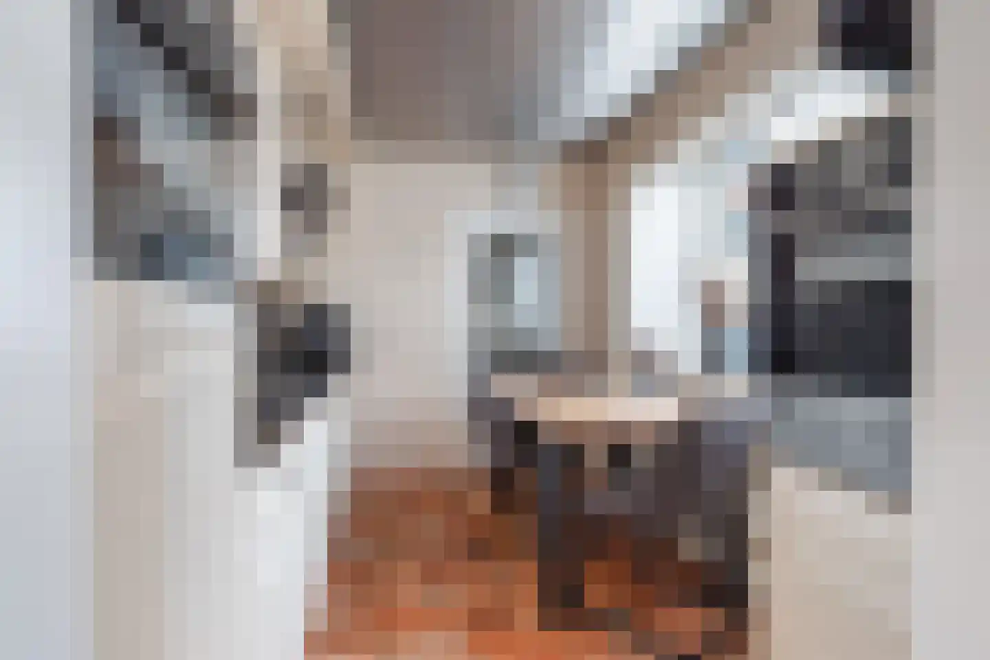 Oosterstraat 7 Breda thumbnail 16