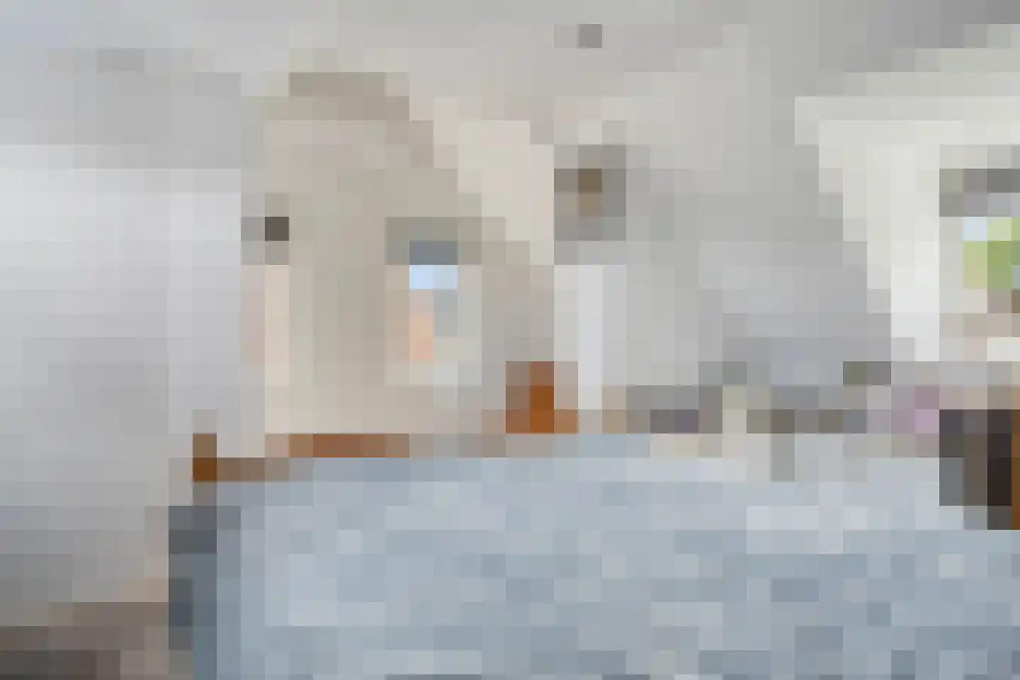Oosterstraat 7 Witmarsum thumbnail 14