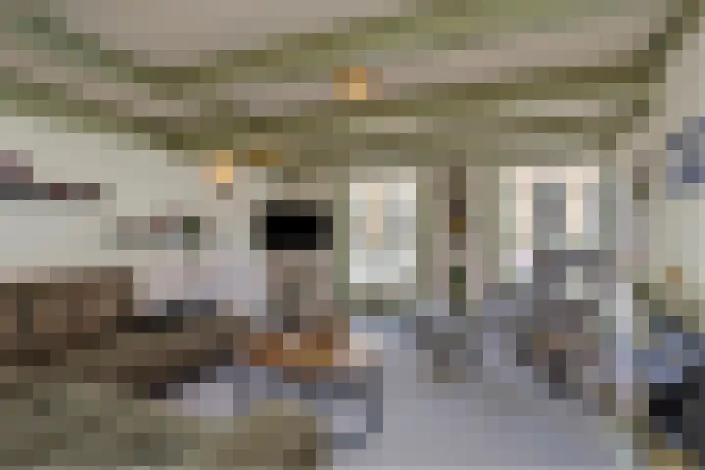 Oosterstraat 70 Steenwijk thumbnail 28