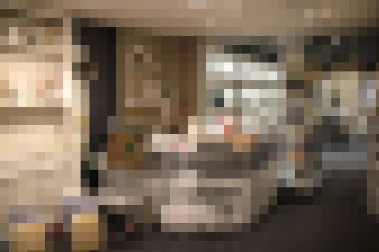 Oosterstraat 70 Steenwijk thumbnail 4