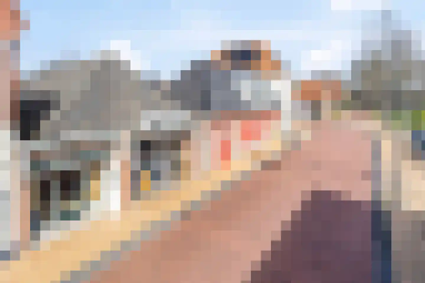 Oosterstraat 70 Steenwijk thumbnail 44