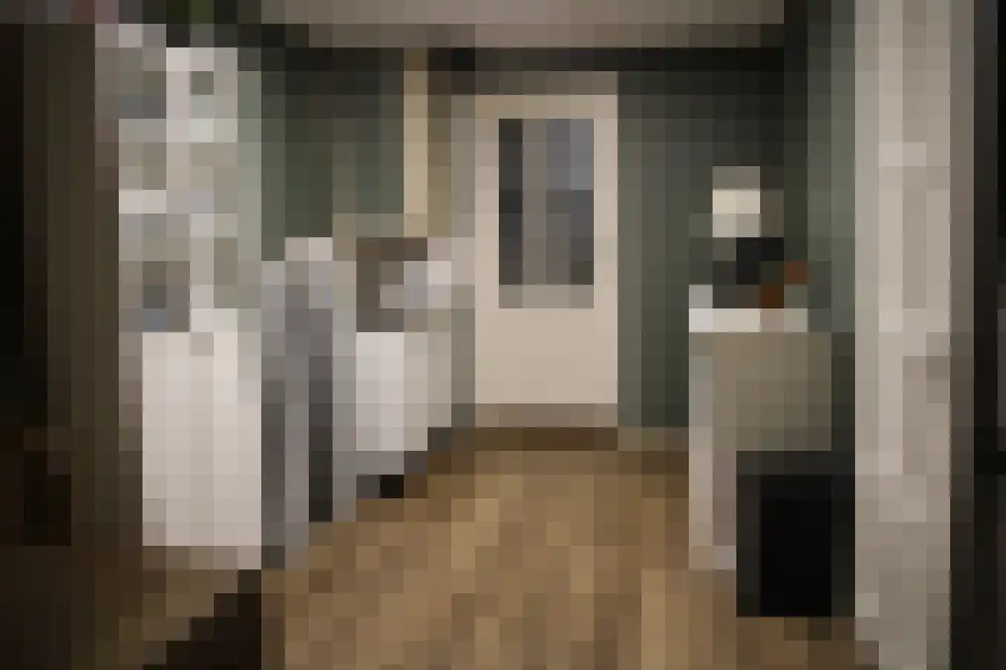 Oosterstraat 70 Steenwijk thumbnail 7