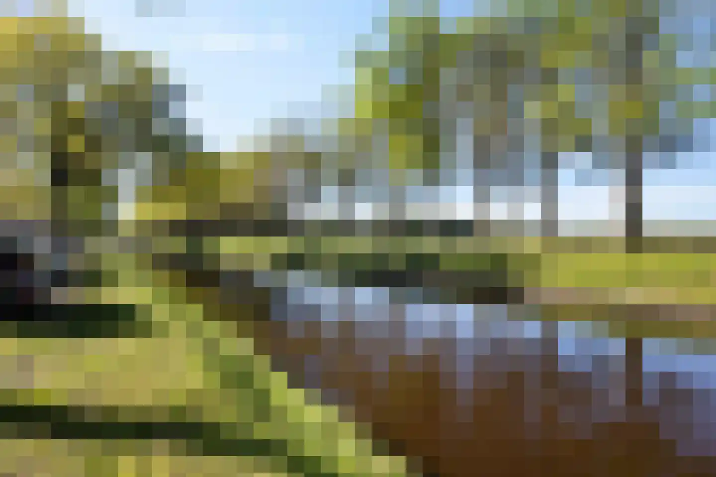 Oosterstraat 77 Ter Apel thumbnail 6