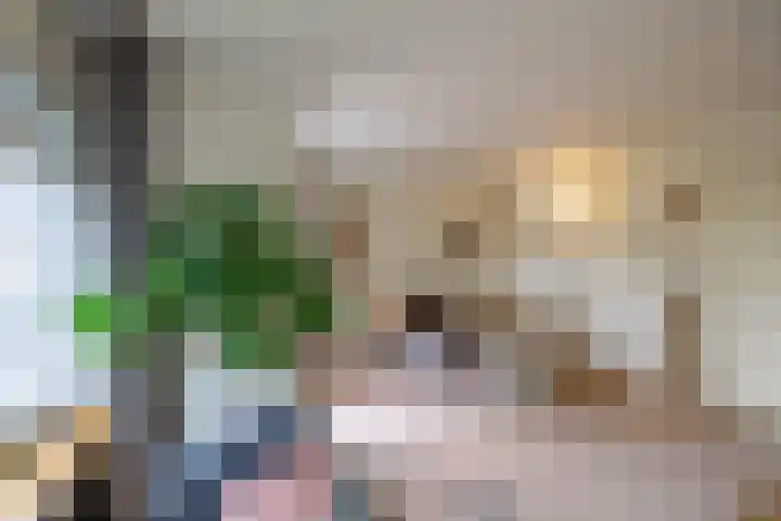 Oosterstraat 80 Groningen thumbnail 8