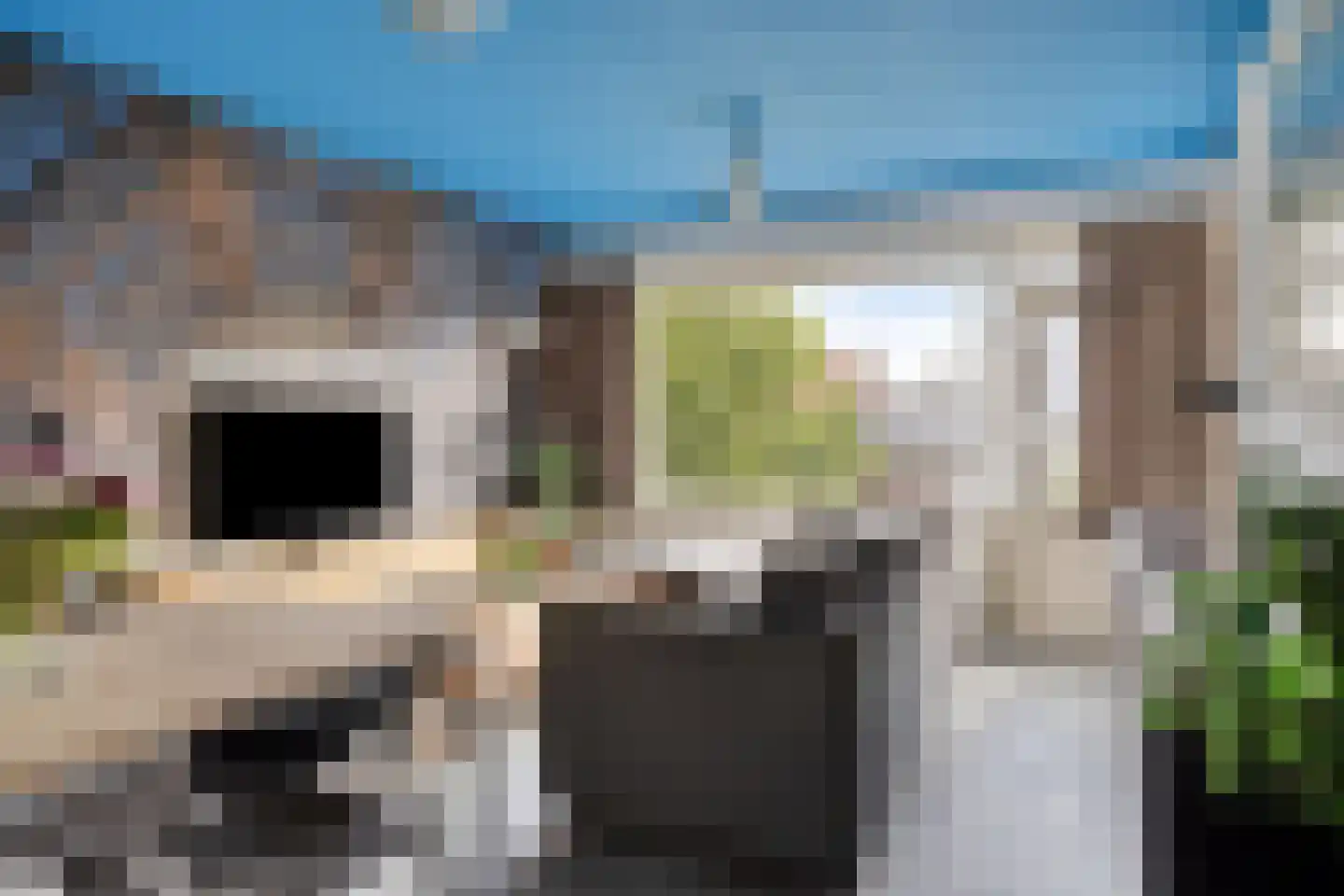 Oosterstraat 88 Groningen thumbnail 18
