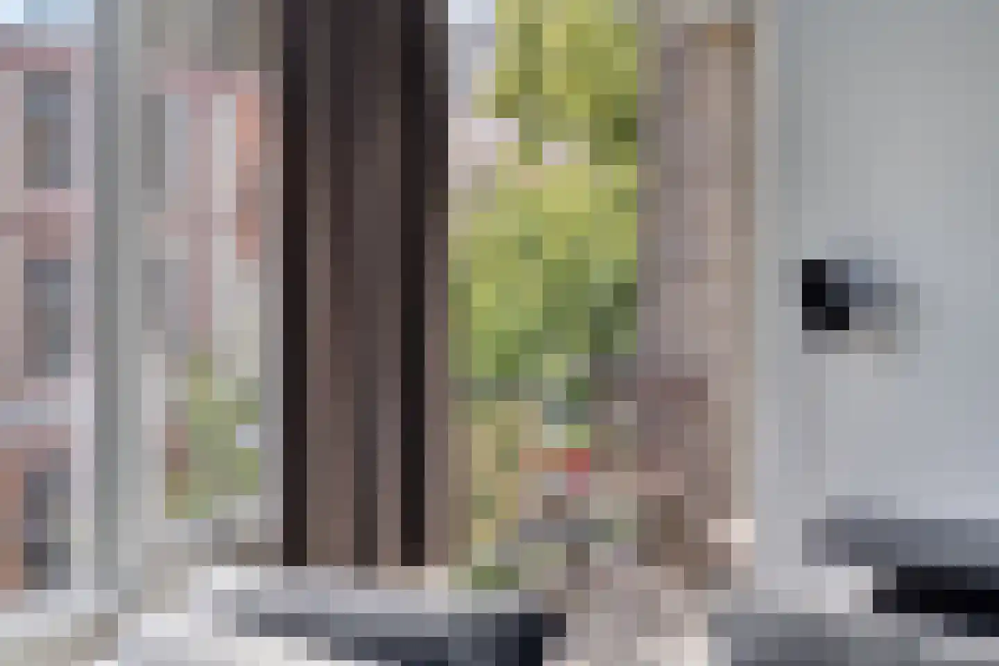 Oosterstraat 88 Groningen thumbnail 21