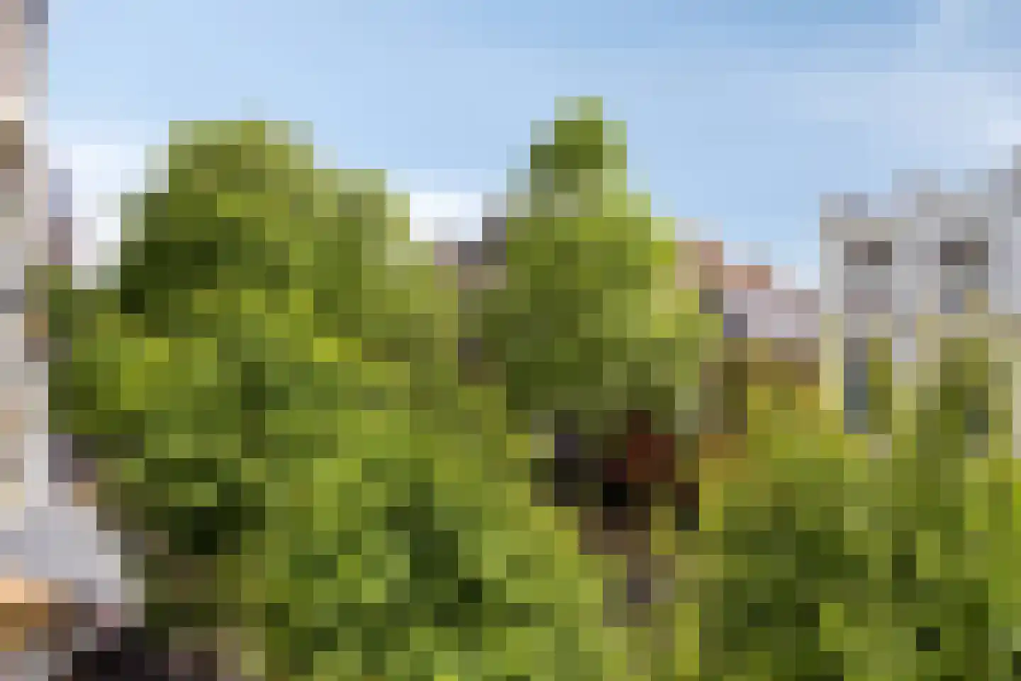 Oosterstraat 88 Groningen thumbnail 26
