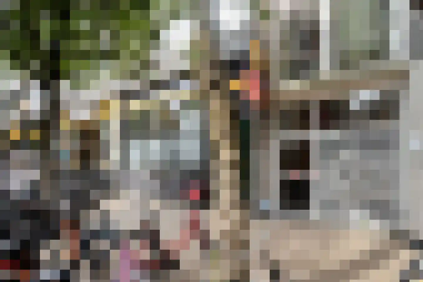 Oosterstraat 88 Groningen thumbnail 6