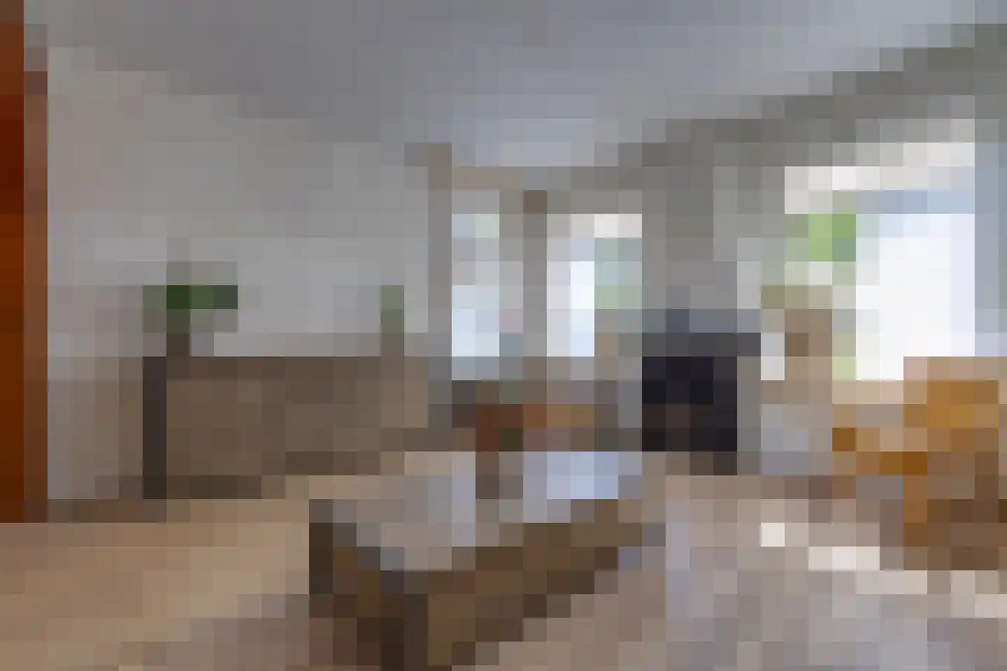 Oosterstraat 88 Ter Apel thumbnail 10