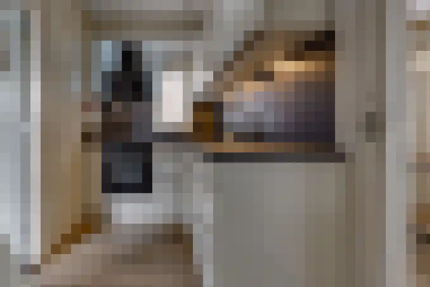 Oosterstraat 88 Ter Apel thumbnail 18