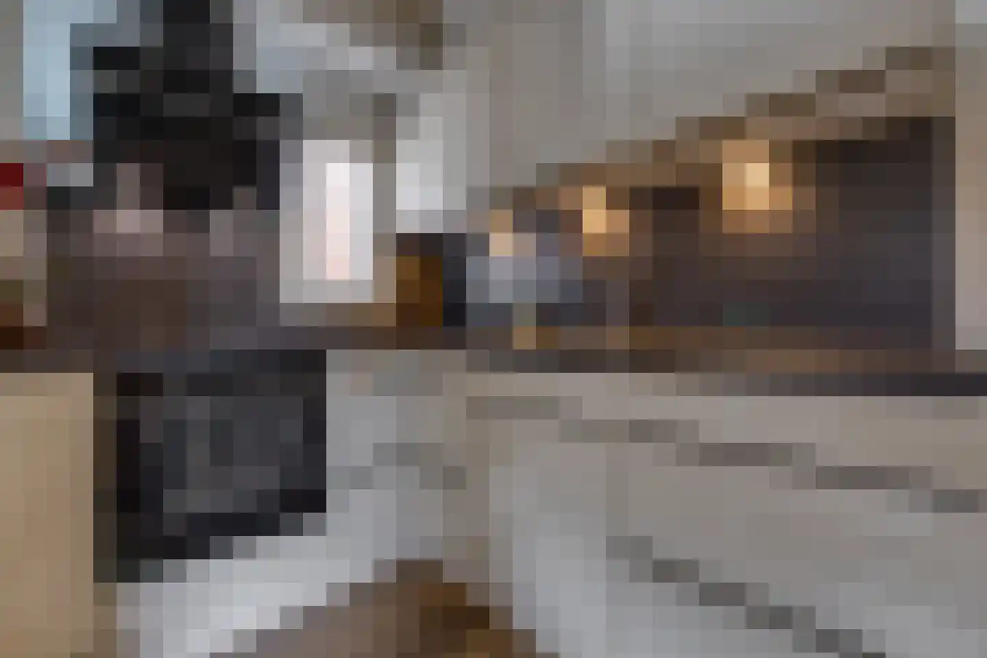 Oosterstraat 88 Ter Apel thumbnail 19