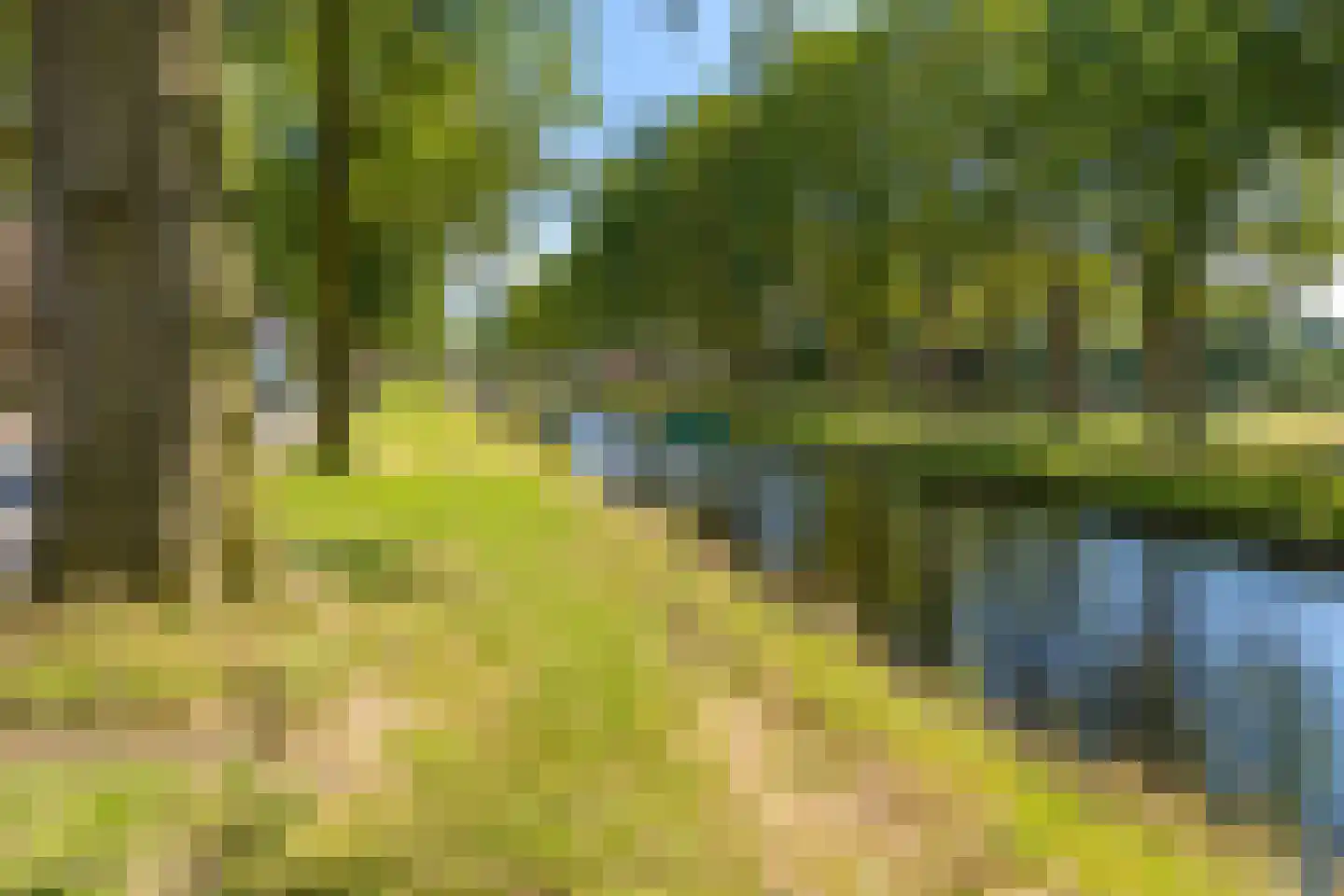 Oosterstraat 88 Ter Apel thumbnail 6