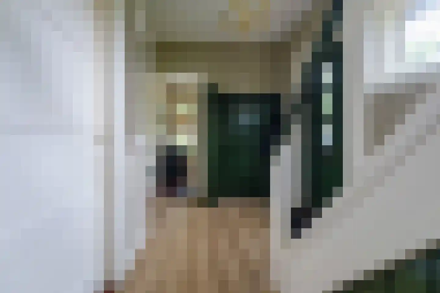 Oosterstraat 9 Beilen thumbnail 14