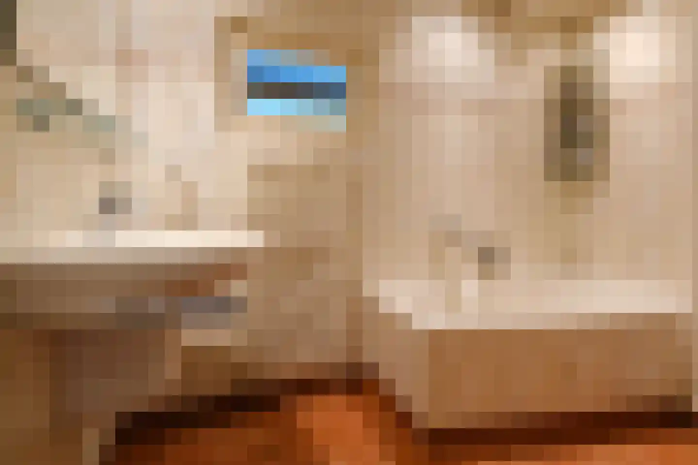 Oosterstraat 9 Beilen thumbnail 16