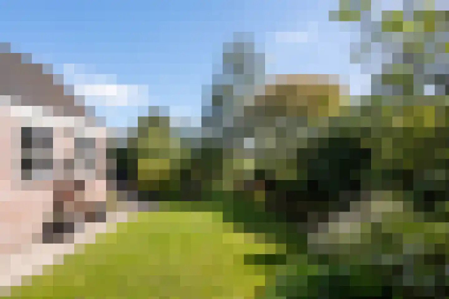 Oosterstraat 9 Beilen thumbnail 30