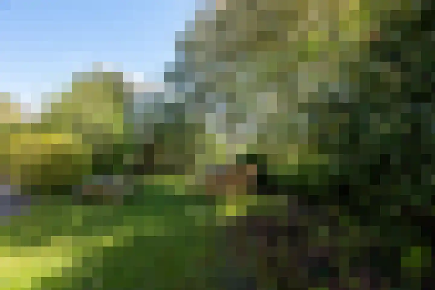 Oosterstraat 9 Beilen thumbnail 31