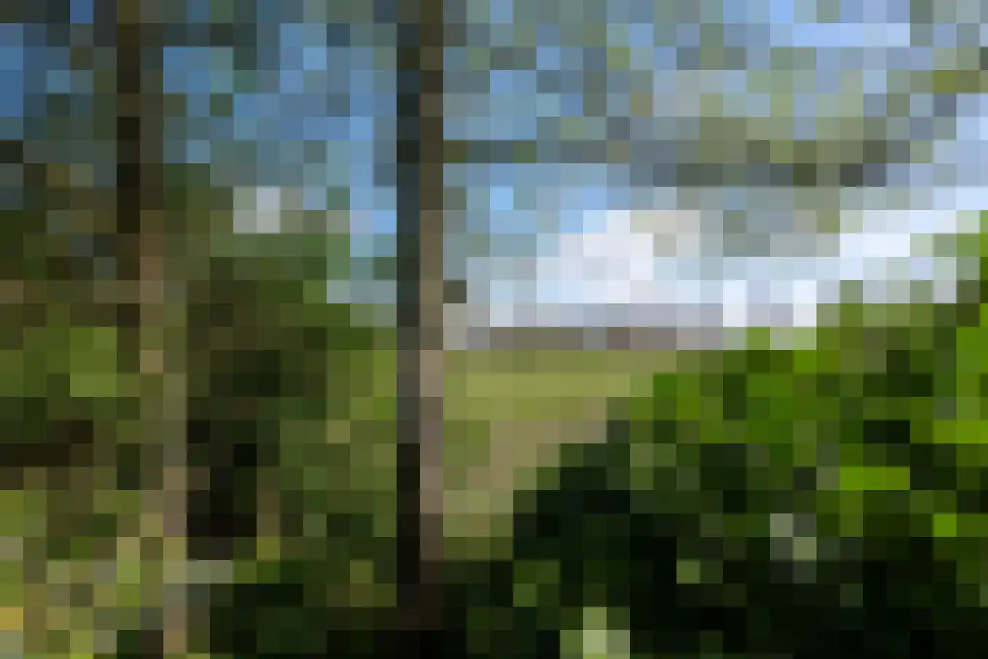 Oosterstraat 9 Beilen thumbnail 32