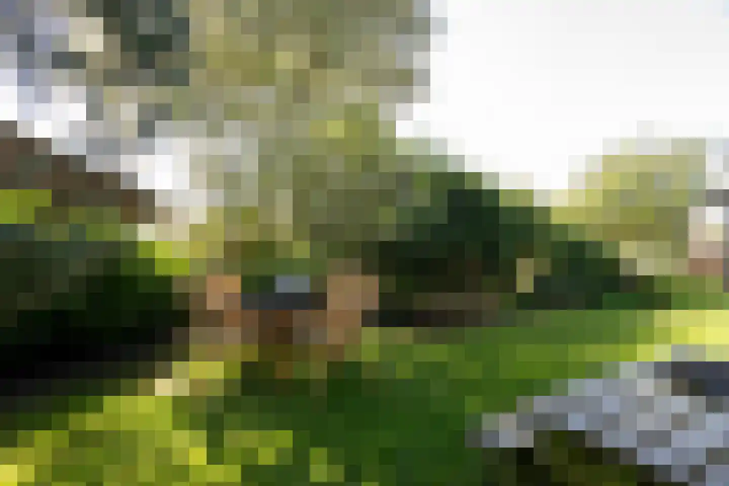 Oosterstraat 9 Beilen thumbnail 34
