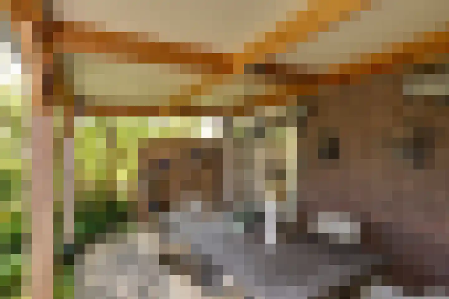 Oosterstraat 9 Beilen thumbnail 38