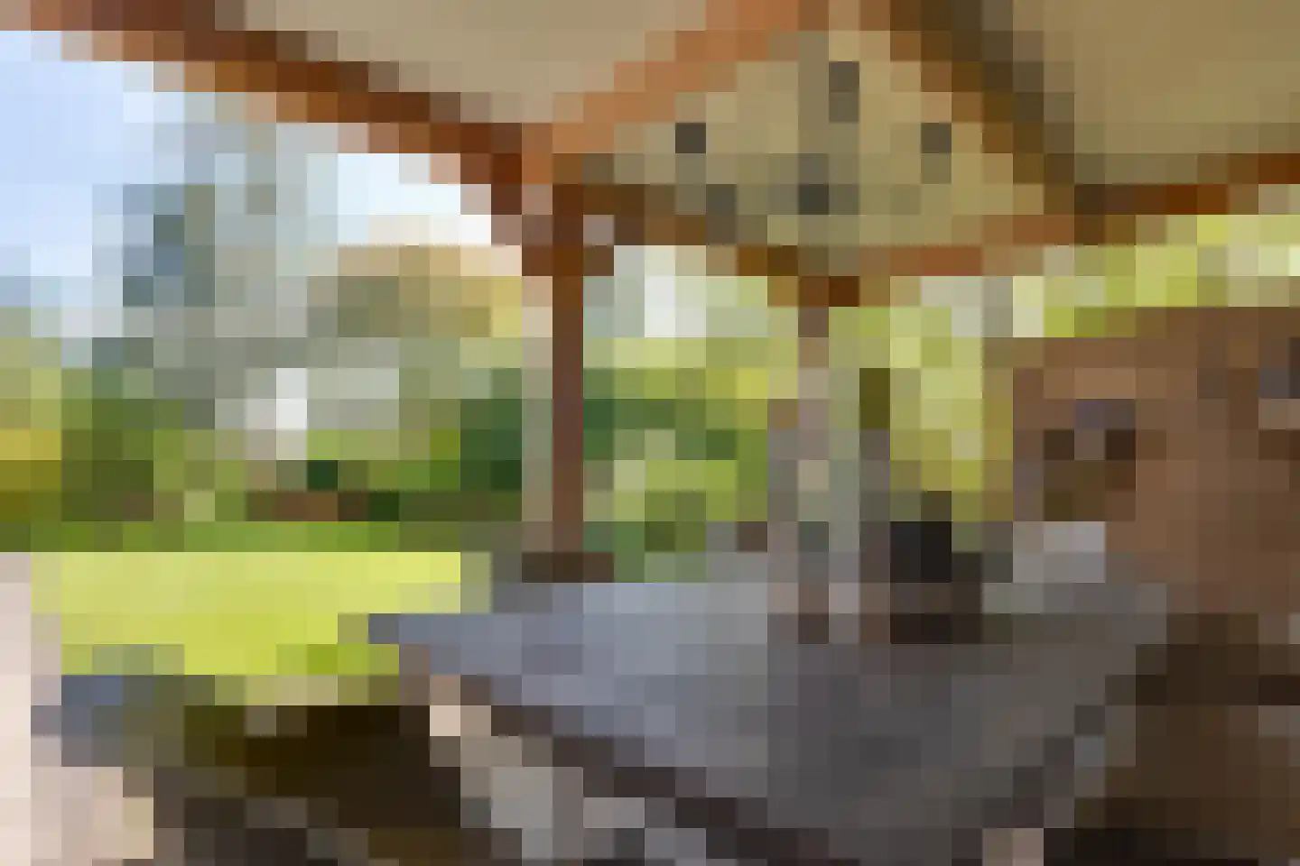 Oosterstraat 9 Beilen thumbnail 39