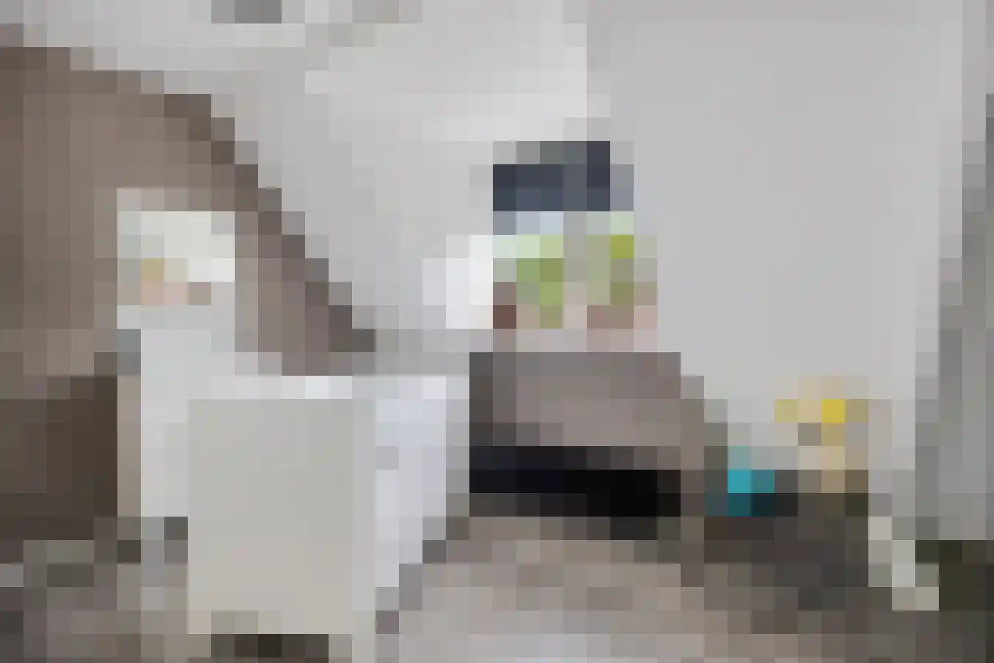 Oosterstraat 95 Ter Apel thumbnail 25