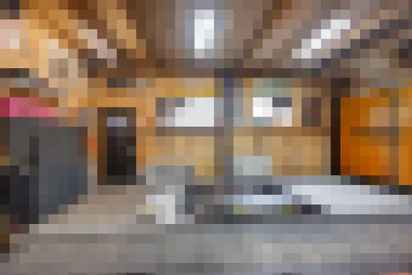 Oosterstraat 95 Ter Apel thumbnail 33