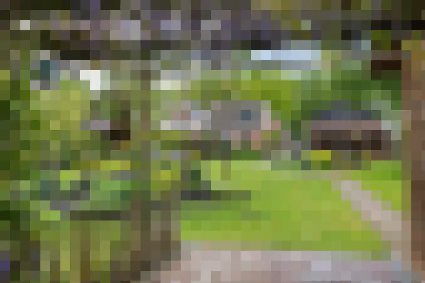 Oosterstraat 95 Ter Apel thumbnail 36