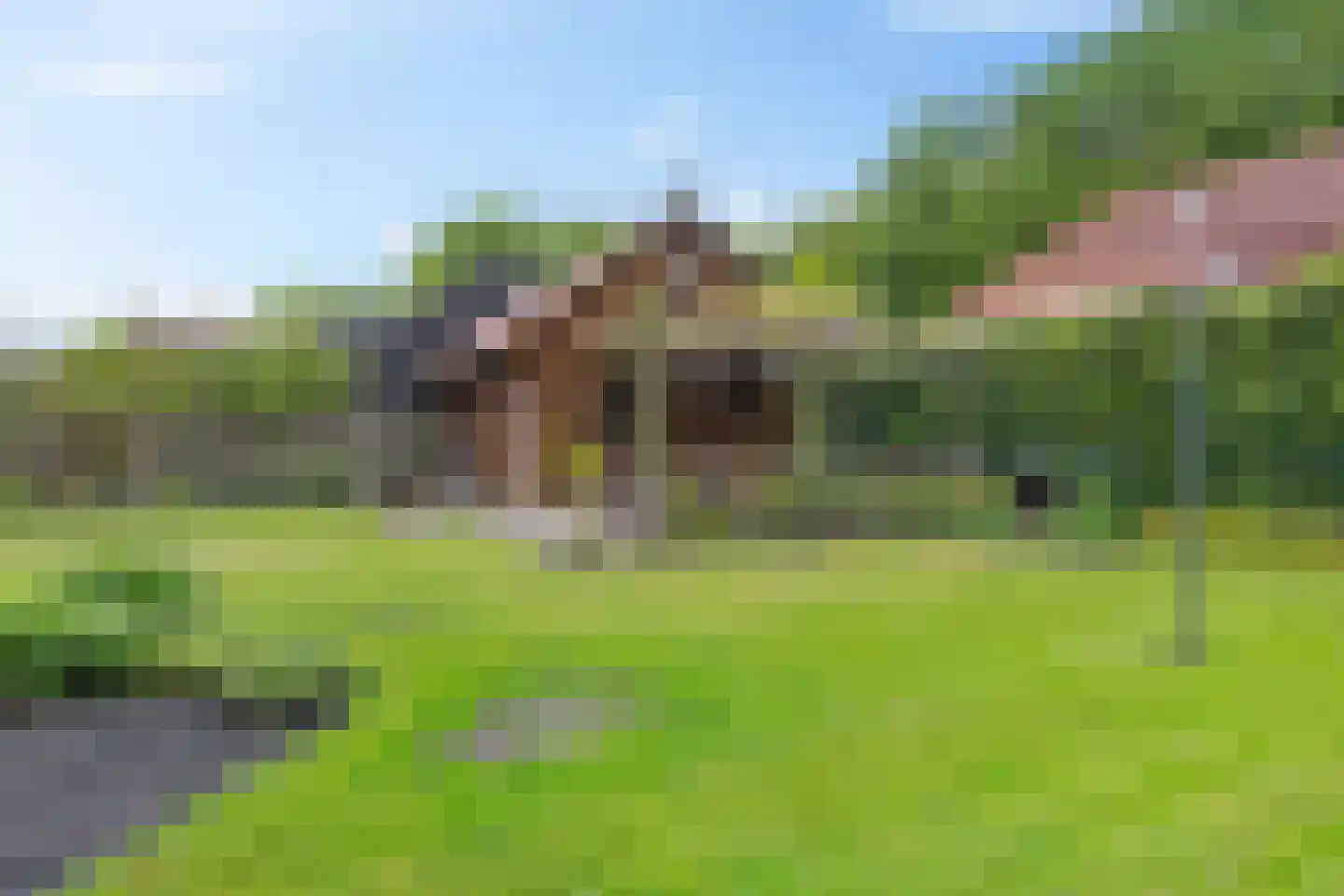 Oosterstraat 95 Ter Apel thumbnail 40