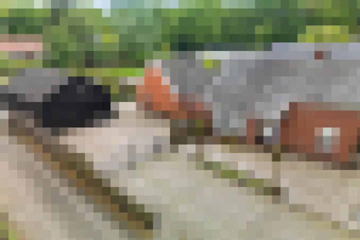 Oosterstraat 95 Ter Apel thumbnail 46