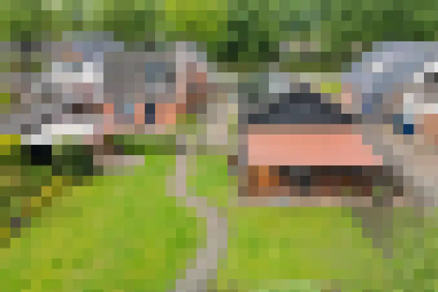 Oosterstraat 95 Ter Apel thumbnail 48