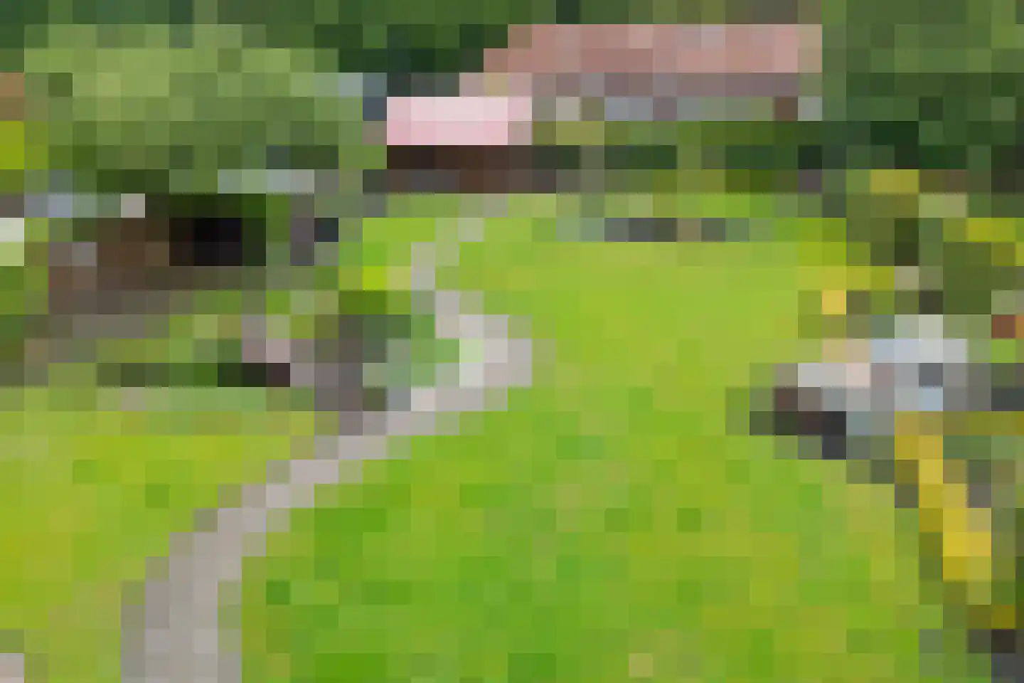 Oosterstraat 95 Ter Apel thumbnail 49
