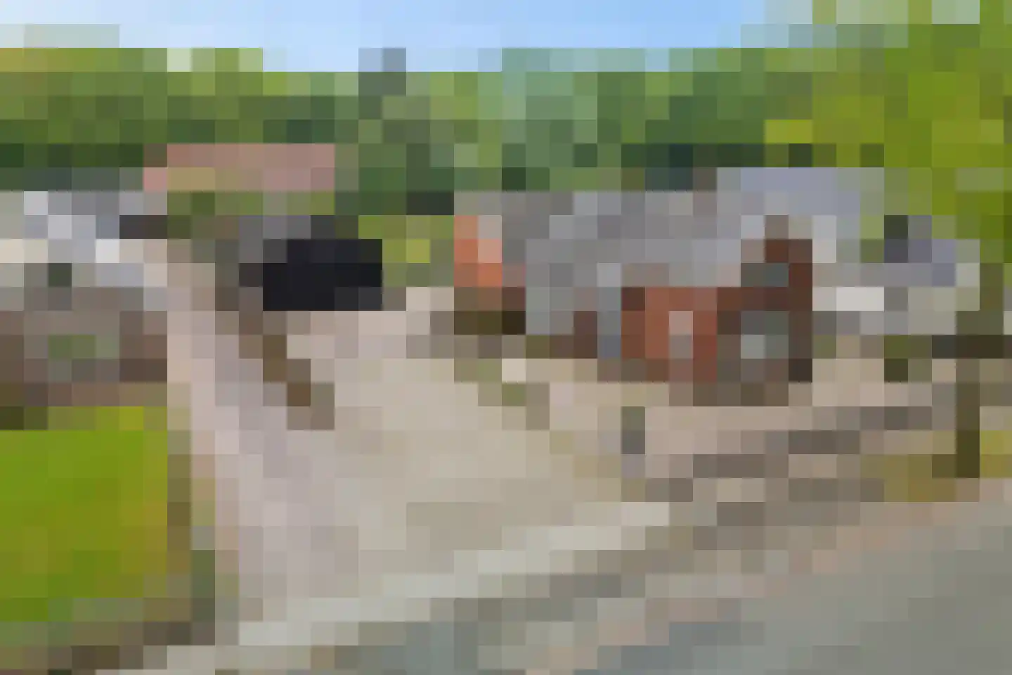 Oosterstraat 95 Ter Apel thumbnail 50